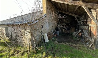 Photo N° 3