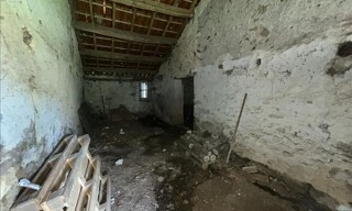 Photo N° 4