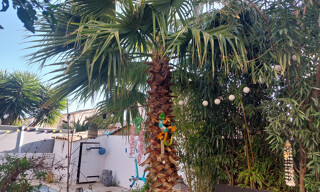 Photo N° 4