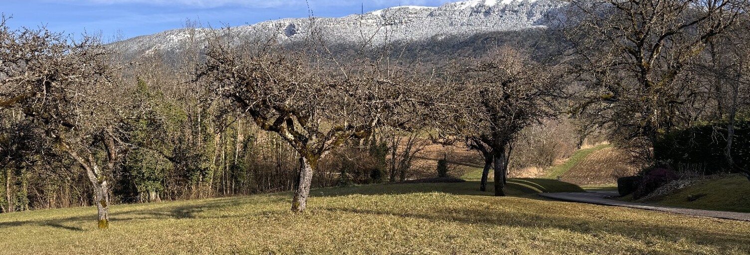 Terrain  1723 m² à vendre à Gruffy (74540)