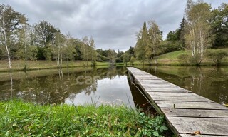 Photo N° 5