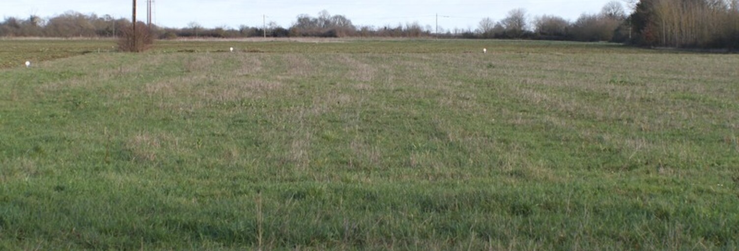 Terrain  2919 m² à vendre à Pleumartin (86450)