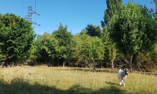 Photo N° 3