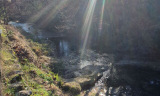 Photo N° 5