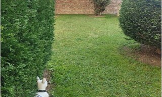 Photo N° 5