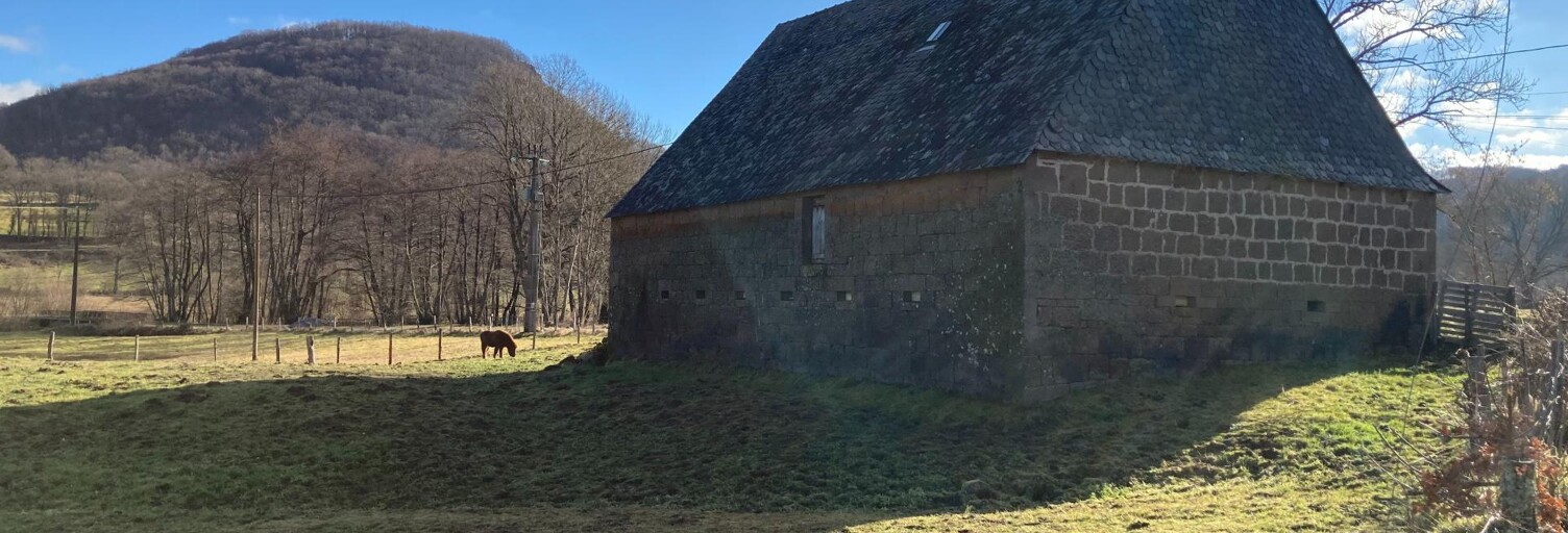 Maison 2 Pièces 288 m² à vendre à Menet (15400)