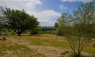 Photo N° 6