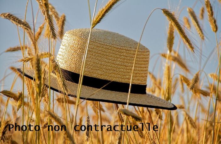 Prêt à porter — photo 2