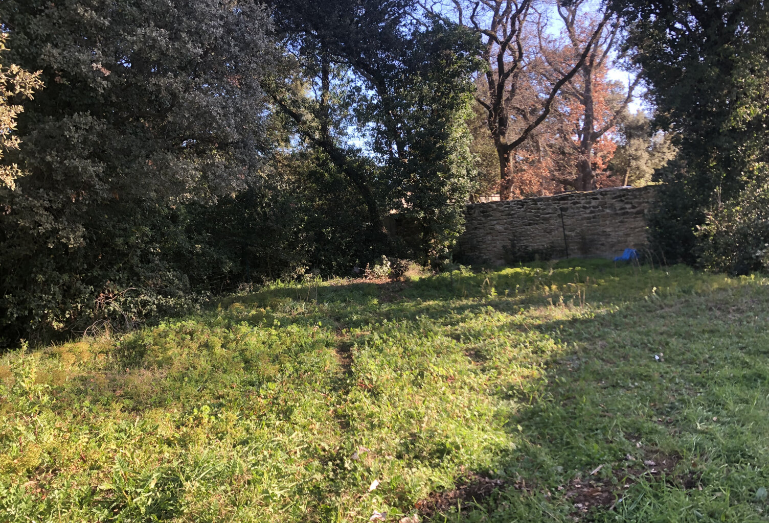 TERRAIN DE 732 m2 à BOUCHET — photo 1