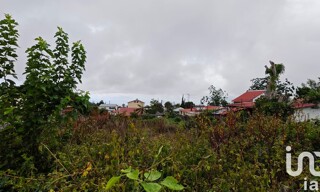 Photo N° 3