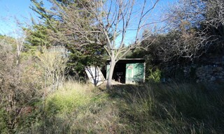 Photo N° 4