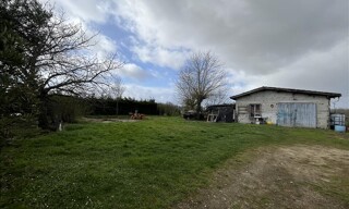 Photo N° 6