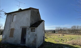 Photo N° 3