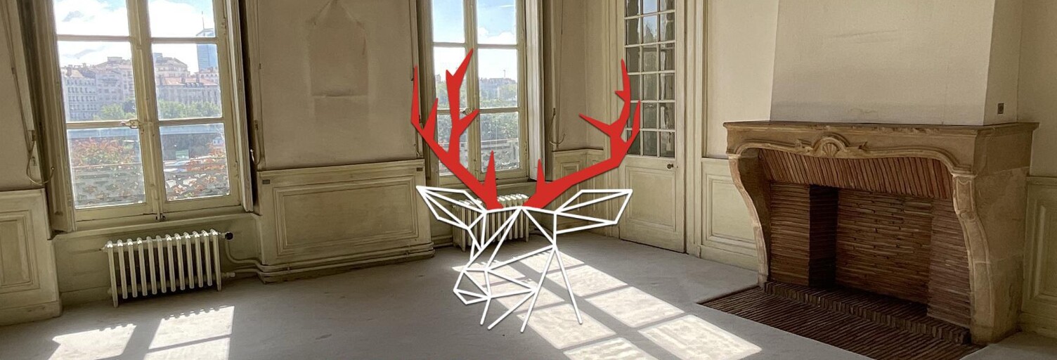 Appartement 7 Pièces 220 m² à vendre à Lyon 1 (69001)