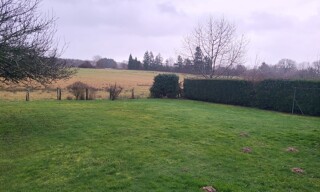 Photo N° 3