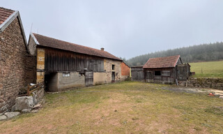Photo N° 3