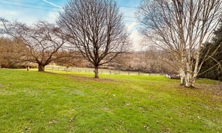 Photo N° 6