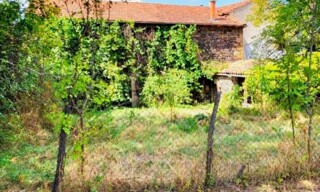 Photo N° 4