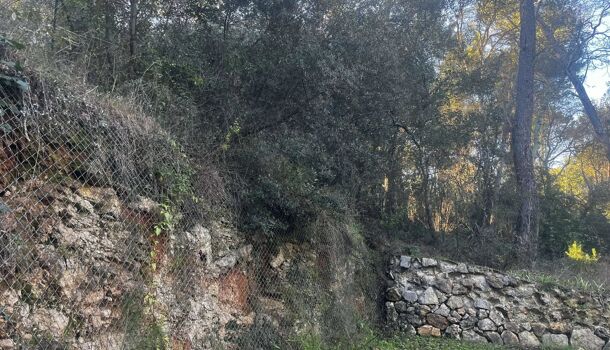 Terrain  à vendre Lorgues 83510