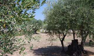 Terrain  1200 m² à vendre à Lorgues (83510)