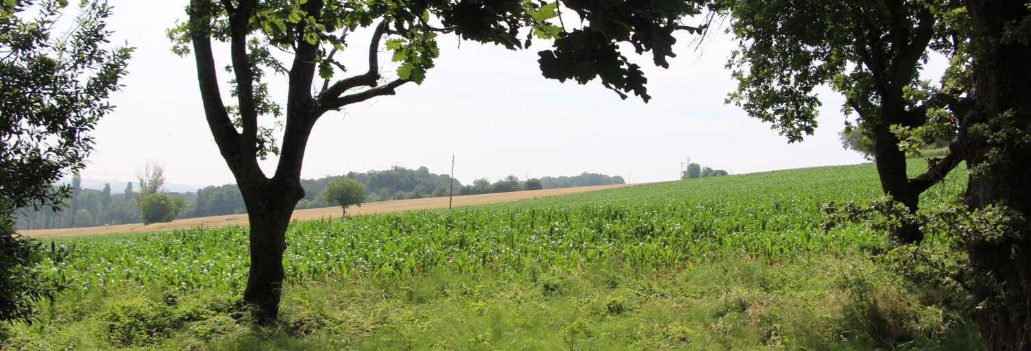 Terrain  703 m² à vendre à Drémil-Lafage (31280)