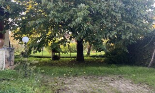 Photo N° 8