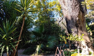 Photo N° 4