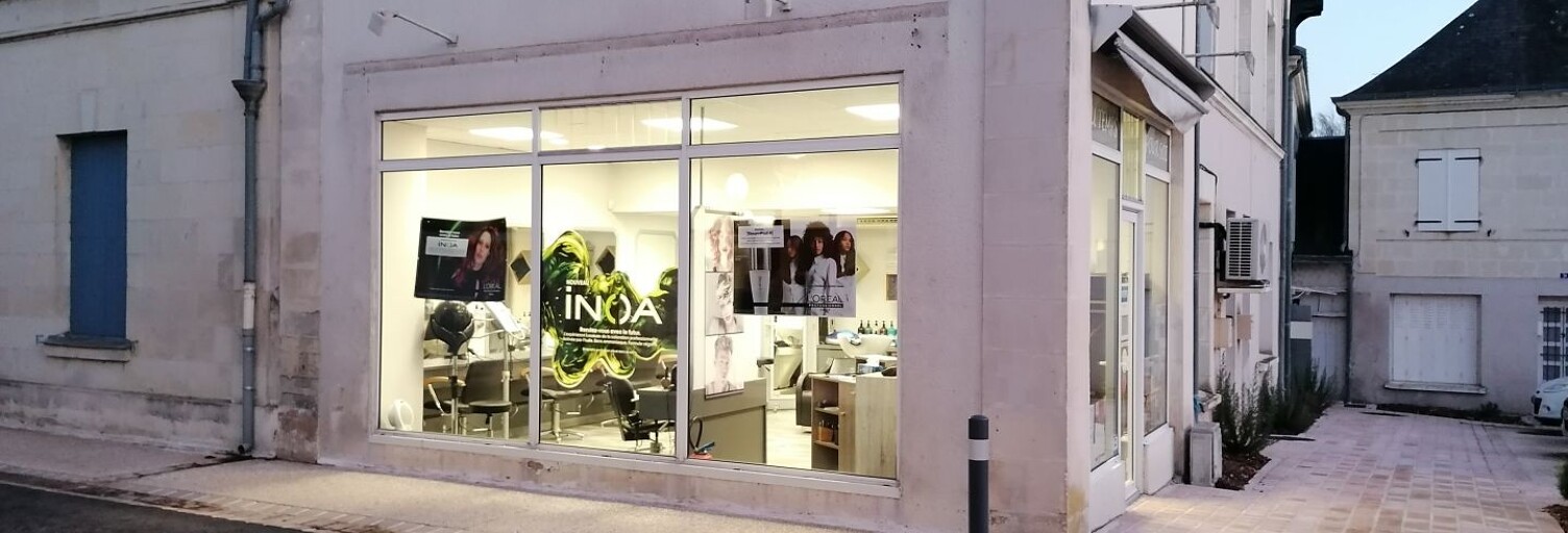 Commerce  40 m² à vendre à Chouzé-sur-Loire (37140)