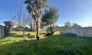 Photo N° 4