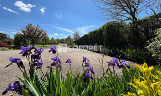 Photo N° 3