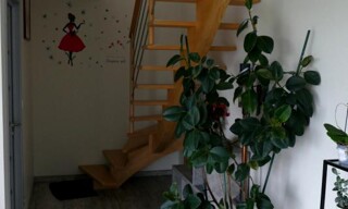 Photo N° 9
