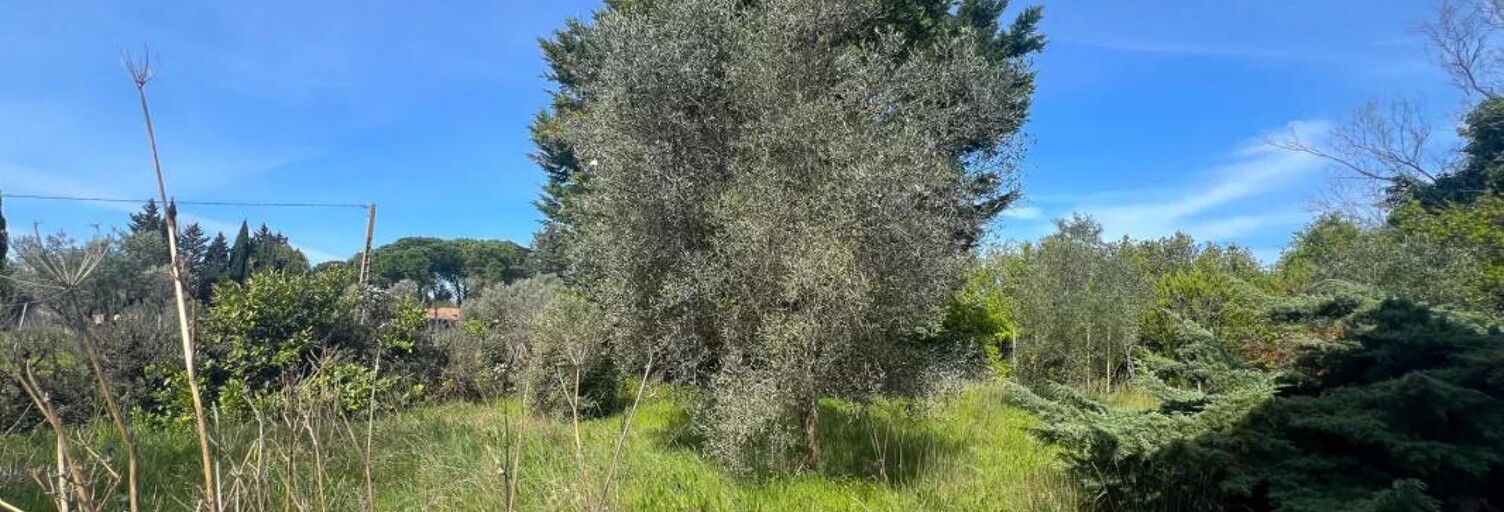 Terrain  3575 m² à vendre à Arles (13200)