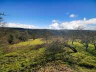 Maison À Vendre — photo 4