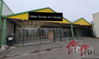 Photo N° 6