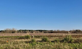 Photo N° 4