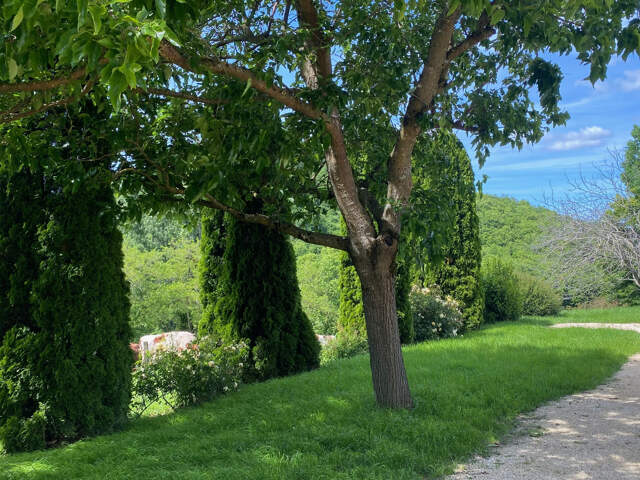 Superbe Maison Rénovée au Calme de la Campagne, Proche des C — photo du bien
