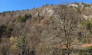 Photo N° 6