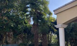 Maison 5 Pièces 218 m² à vendre à Toulouse (31200)