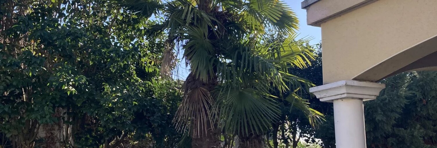 Maison 5 Pièces 218 m² à vendre à Toulouse (31200)