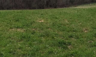 Terrain  1918 m² à vendre à Marcillac-Saint-Quentin (24200)