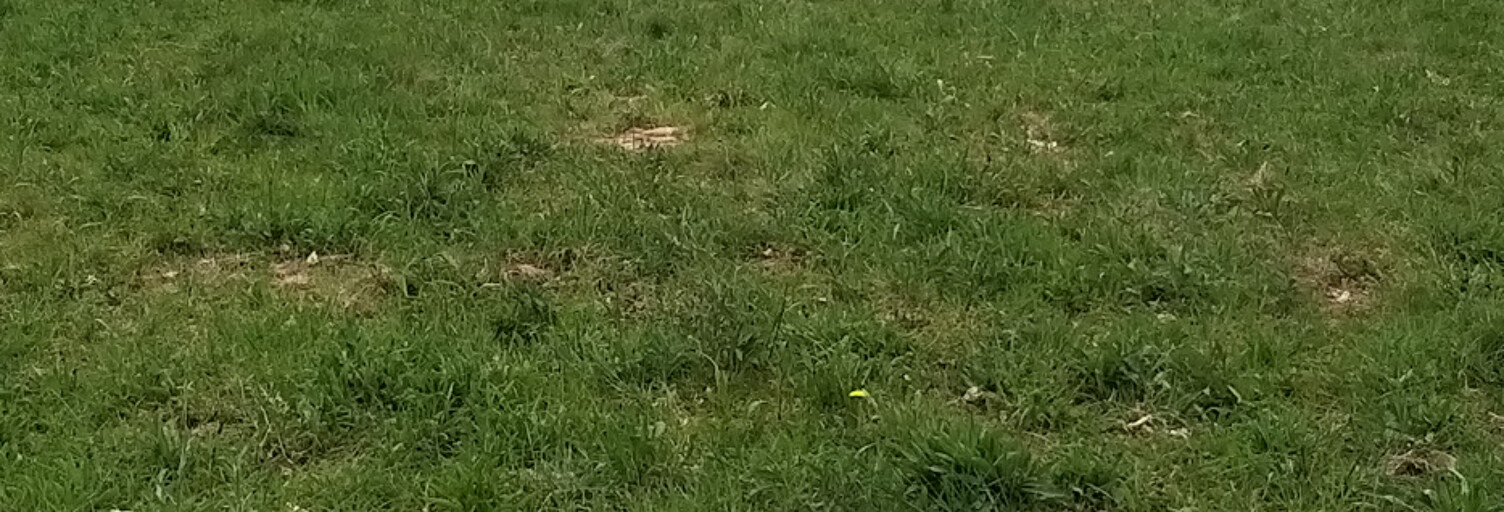 Terrain  1918 m² à vendre à Marcillac-Saint-Quentin (24200)