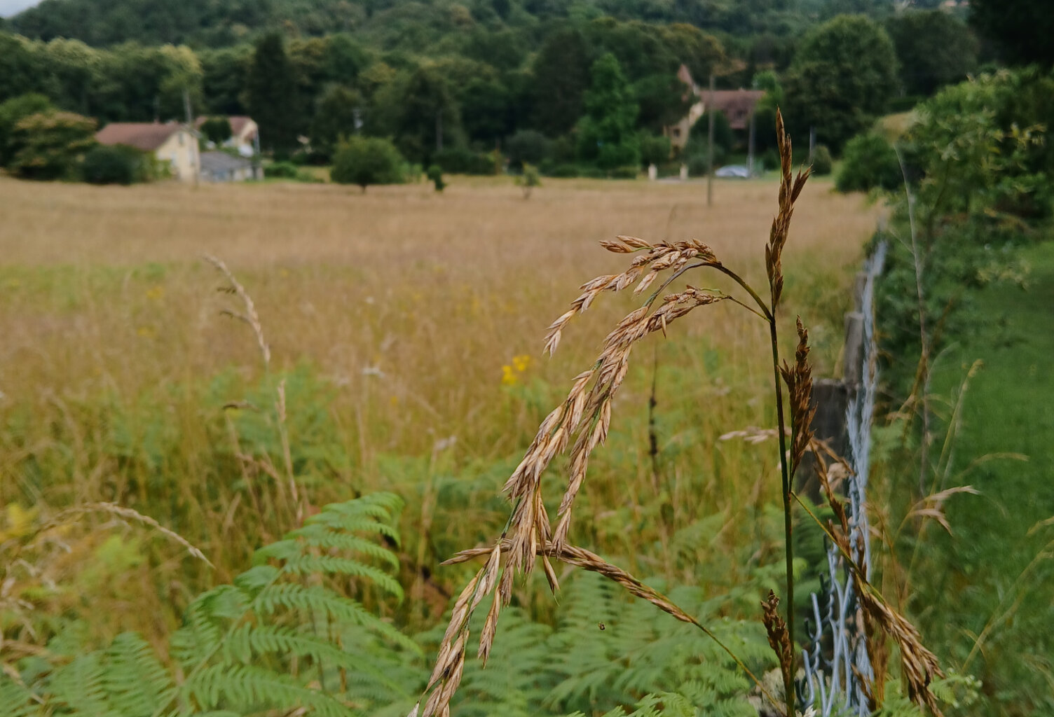 Terrain à batir à Sarlat secteur Nord sur les hauteurs — photo 1
