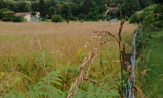 Terrain  1738 m² à vendre à Sarlat-la-Canéda (24200)