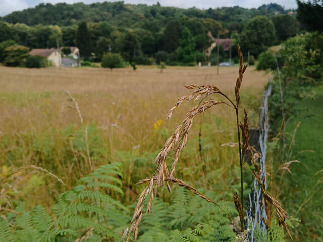 Terrain à batir à Sarlat secteur Nord sur les hauteurs — photo du bien