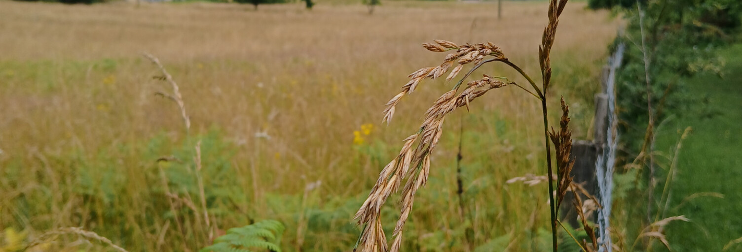 Terrain  1738 m² à vendre à Sarlat-la-Canéda (24200)