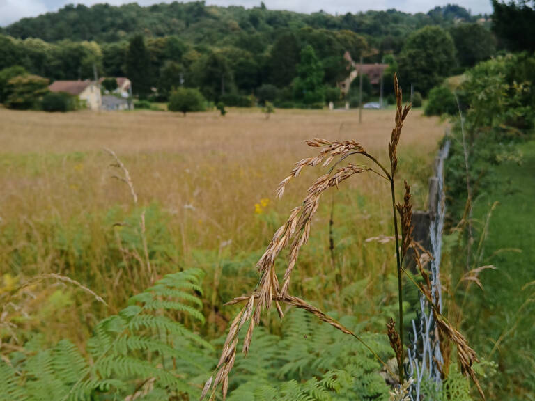 Terrain à batir à Sarlat secteur Nord sur les hauteurs — photo 1