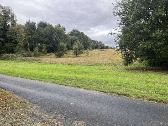 Très jolie terrain à bâtir au calme à Sarlat, à 1,5km du cen — photo du bien