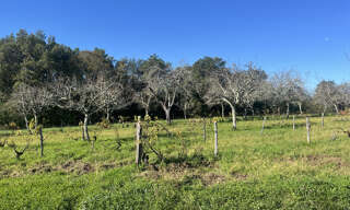 Terrain  2255 m² à vendre à Sarlat-la-Canéda (24200)