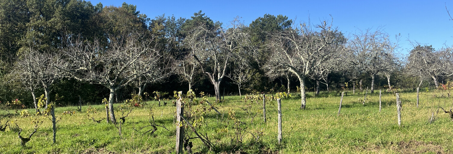 Terrain  2255 m² à vendre à Sarlat-la-Canéda (24200)