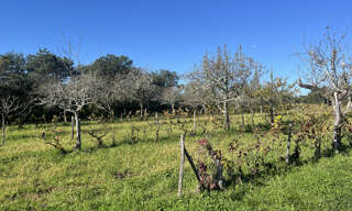 Terrain  2199 m² à vendre à Sarlat-la-Canéda (24200)